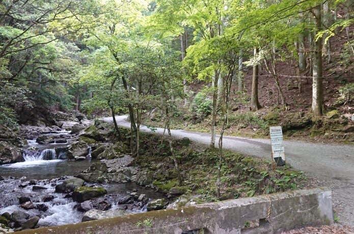 林道
