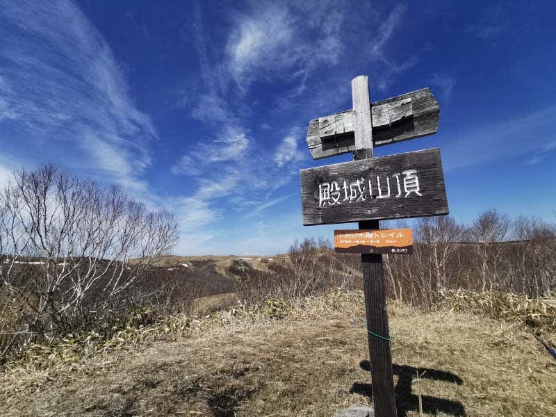 霧ヶ峰の車山湿原