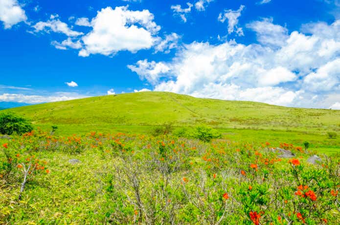 蝶々深山