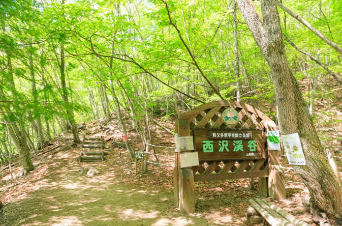 歩きたくなる絶景「西沢渓谷」の魅力は？