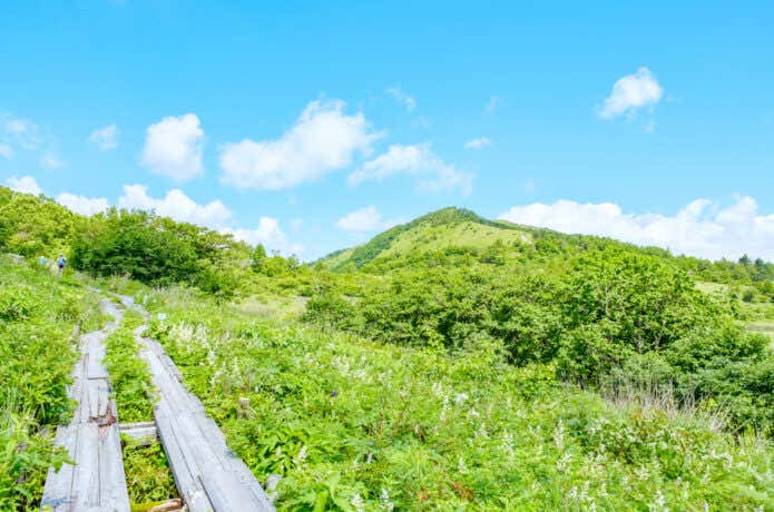 霧ヶ峰｜百花繚乱の高山植物を楽しむ高原ハイキング＆登山ルート | YAMA HACK[ヤマハック]