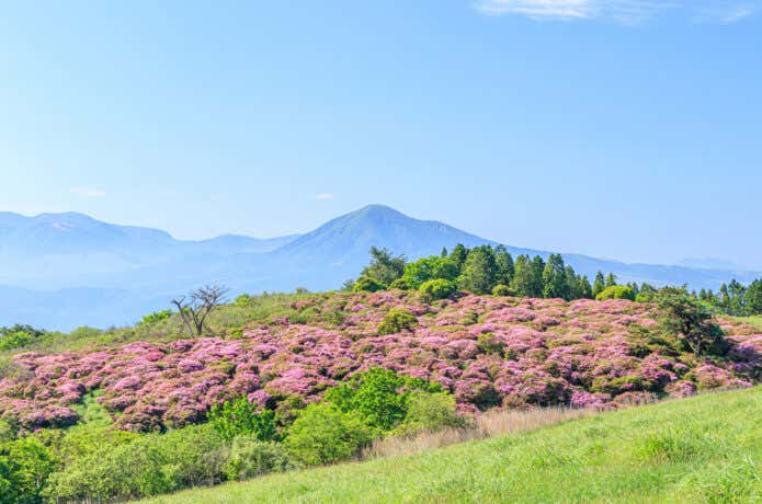 万年山