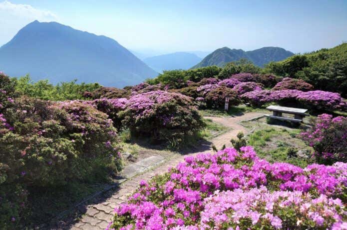 鶴見岳山頂広場