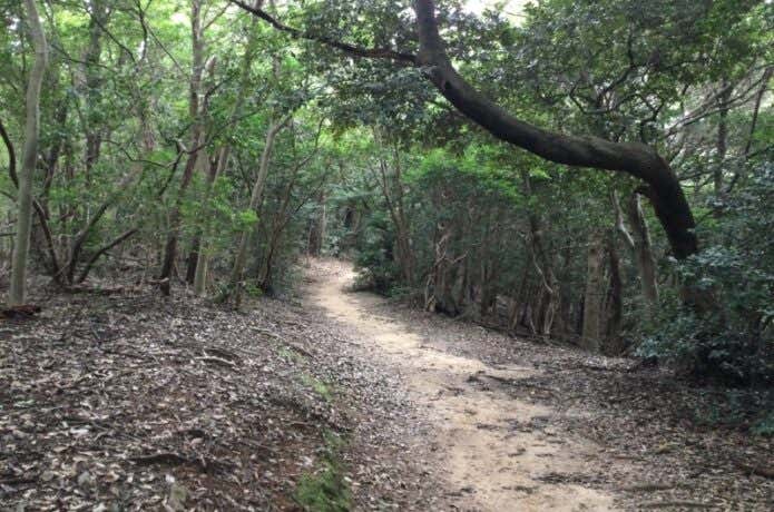登山道
