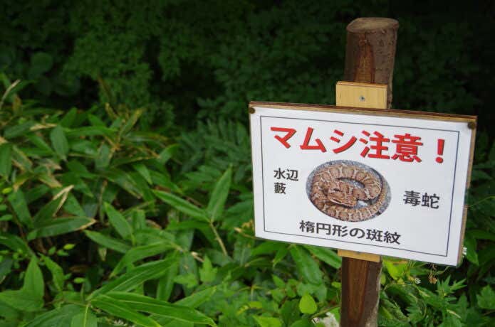 マムシ危険看板