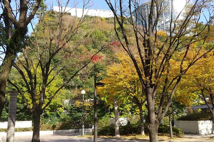 アクロス山