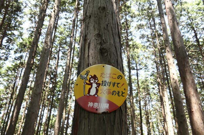 たばこは吸ってもOK？みんなが山を楽しむためのルールとマナー