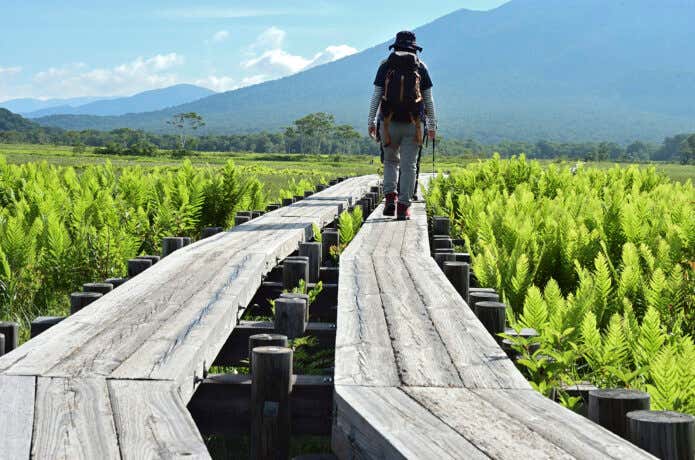 木道を歩く登山者