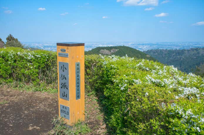 小仏城山山頂の天狗