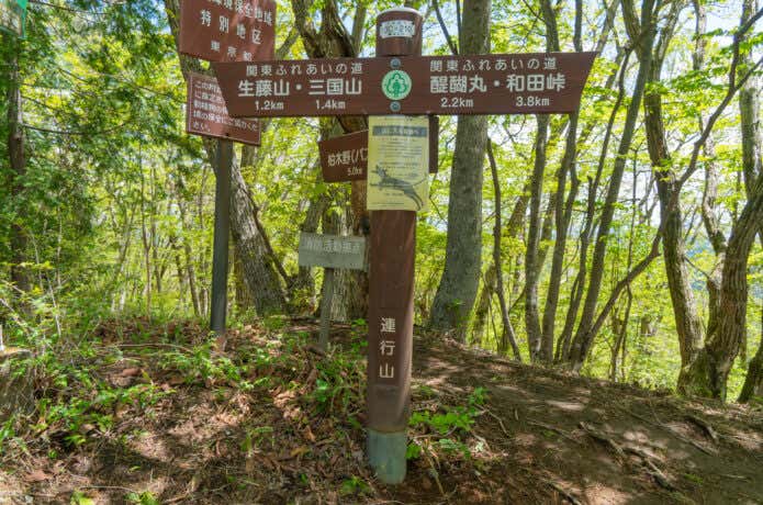 連行山
