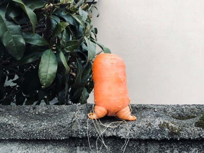 野菜