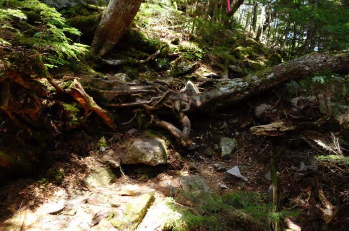 暗い山道