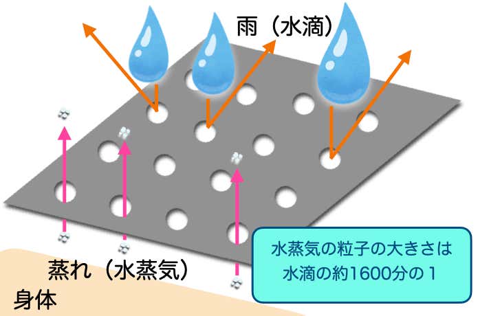 防水透湿性素材の原理