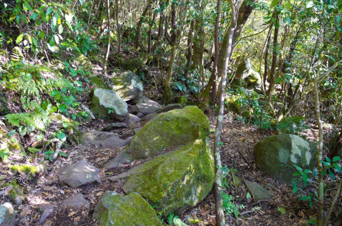 開聞岳登山道