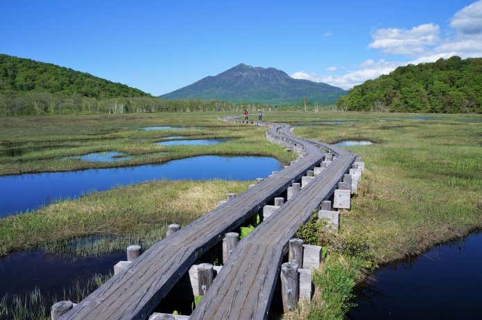 尾瀬ヶ原 6月の尾瀬ヶ原と燧ヶ岳