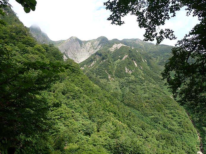 雨飾山の布団菱