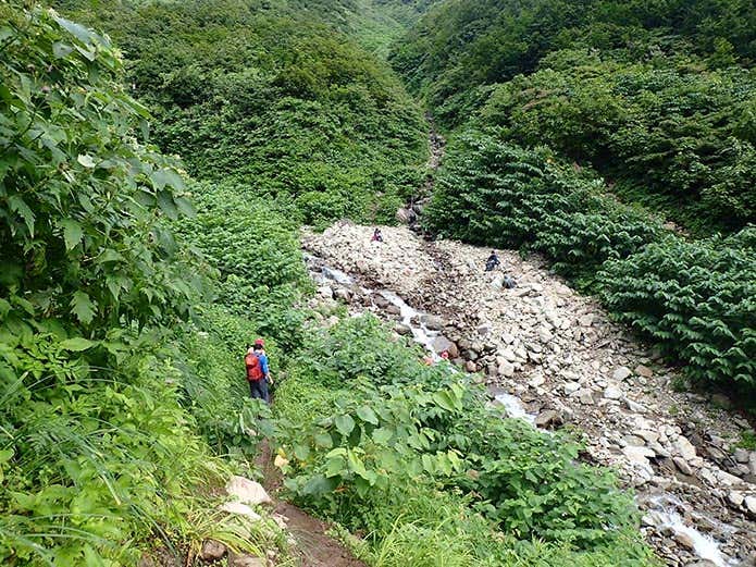 荒菅沢