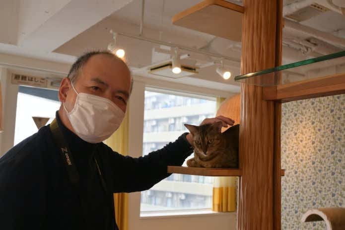 木元ガイド　猫カフェ