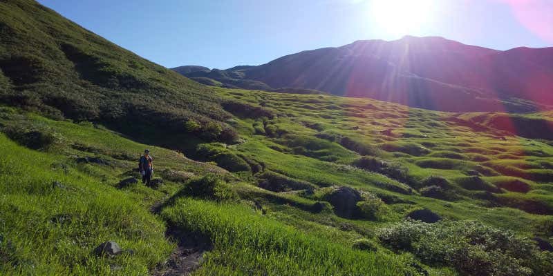 仙人平からの登山道