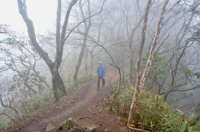 霧の中を歩く男性