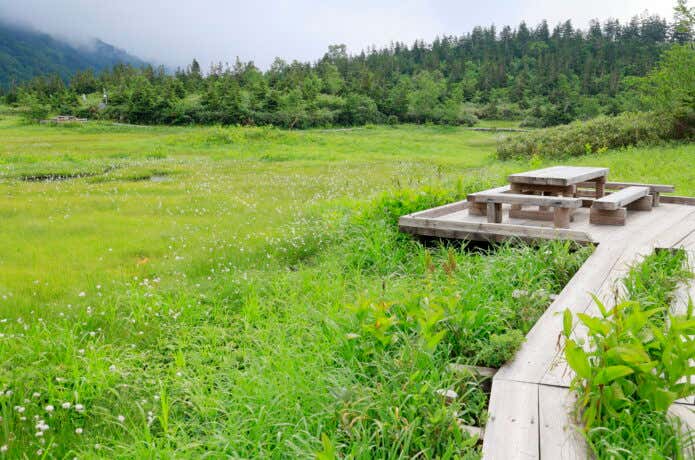 栂池自然園
