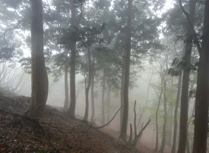 シングルウォールテント 雨の登山