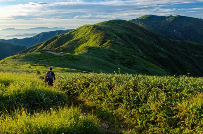 単独の登山者