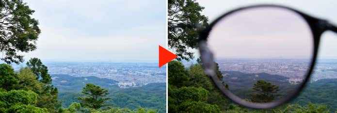 パープルピンク系レンズ越しの視界
