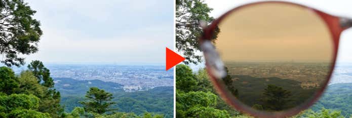 ブラウン系レンズ越しの視界