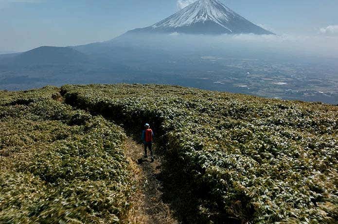 JAPAN TRAIL