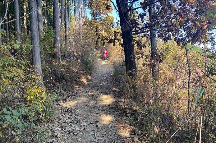 小仏峠から景信山の登山道
