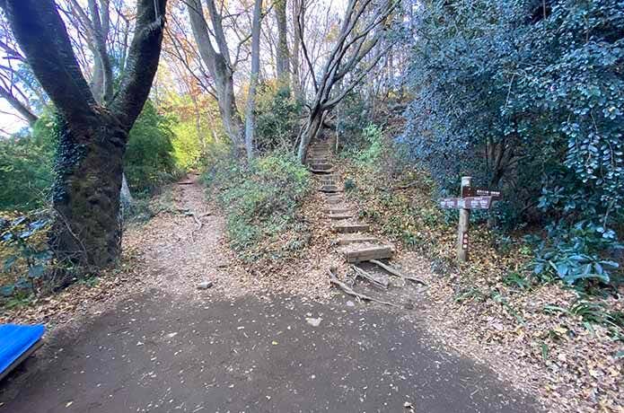 小仏城山への登山道