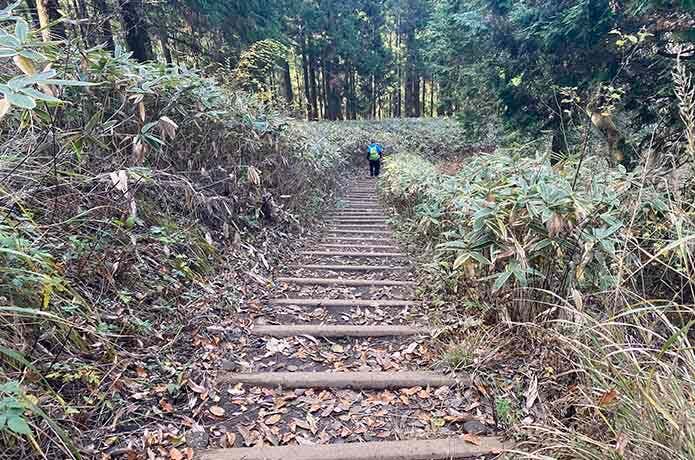 景信山から陣場山までの登山道