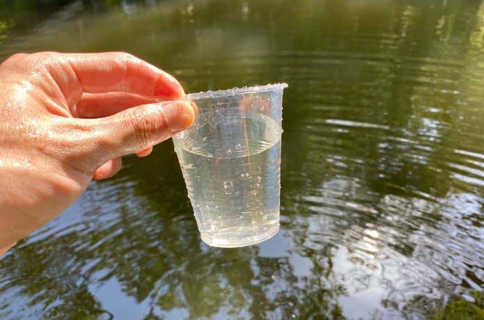 池の水をすくった様子