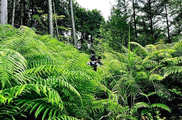 シートゥーサミット　石鎚 西条　登山