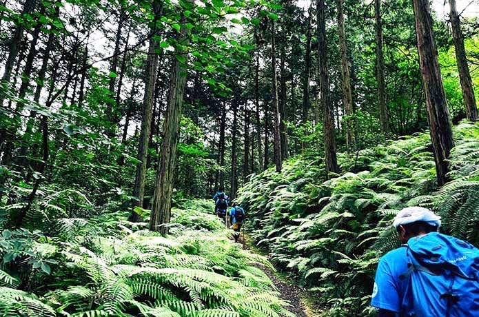 シートゥーサミット　石鎚 西条　登山
