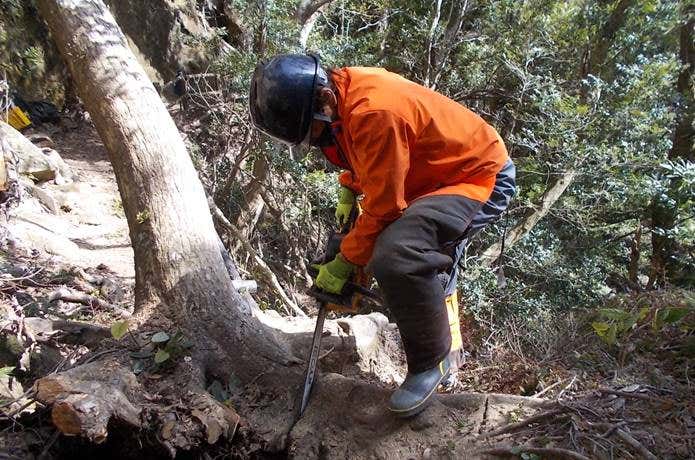 房総の山の登山道整備