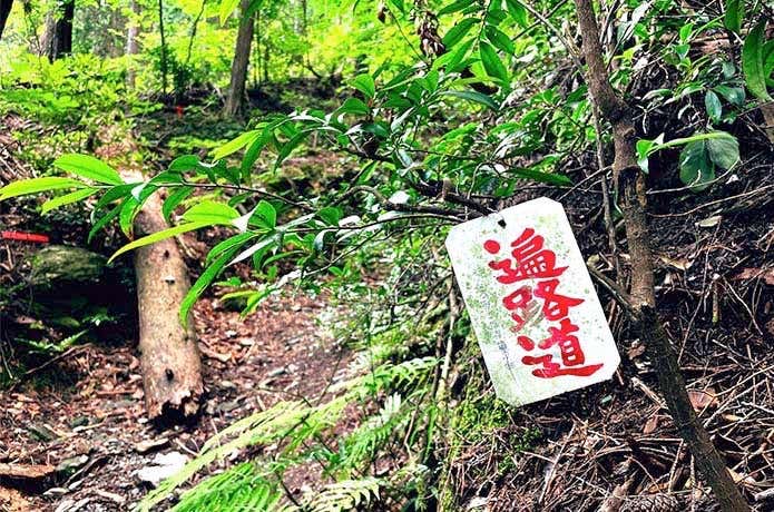 シートゥーサミット　石鎚 西条　登山