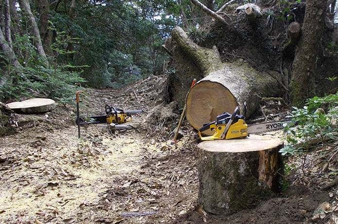 登山道整備に使うチェーンソー