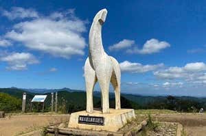 景信山から陣馬山への縦走