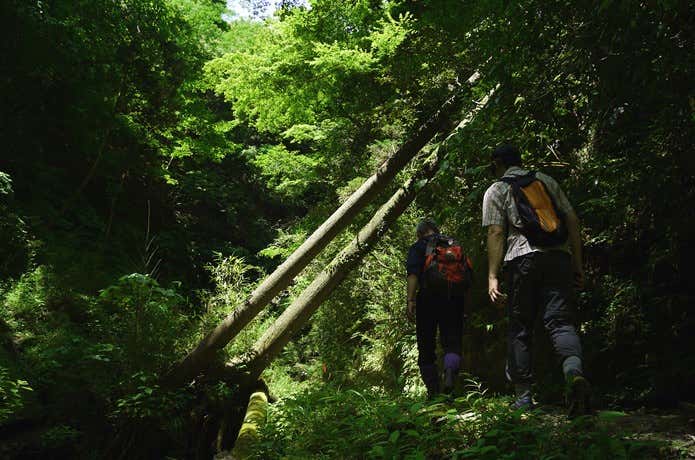 整備された房総の山を歩く