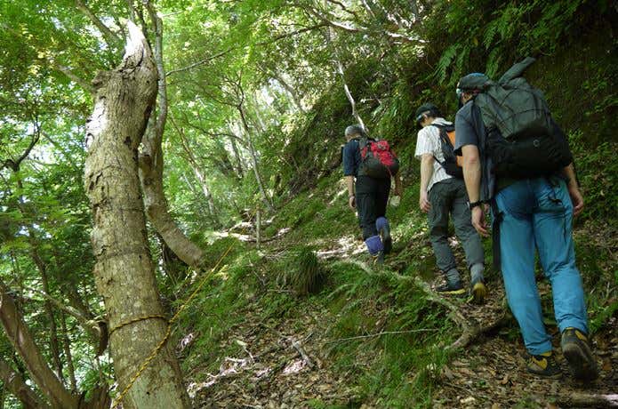 登山道整備されたあとを歩く