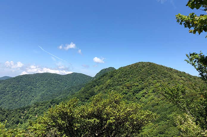 ナンガシュラフ春夏の低山には
