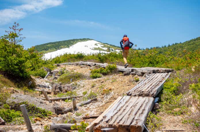 夏山を歩く登山者