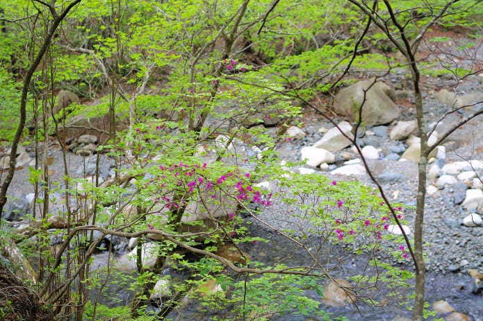 鈴鹿、神崎川沿い