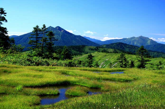 夏の池塘のある風景（会津駒ヶ岳）