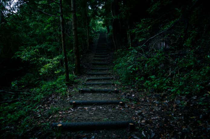 暗い登山道