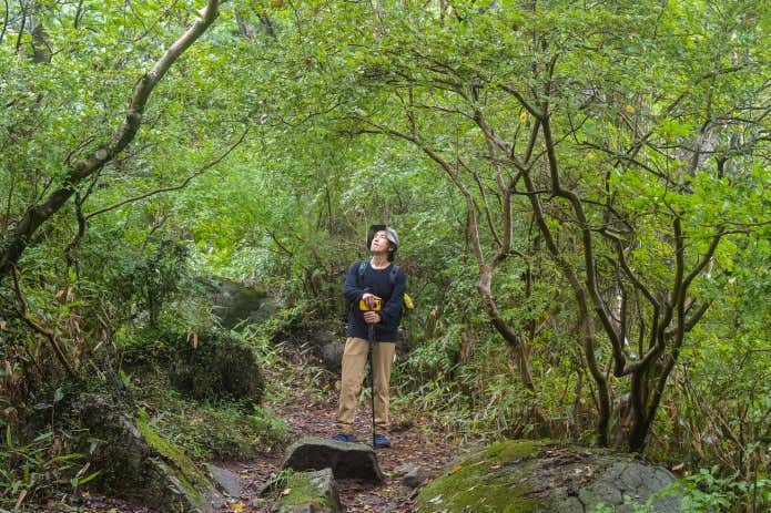 登山道で見上げる男性