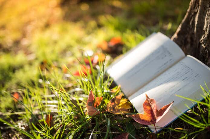 読書の秋