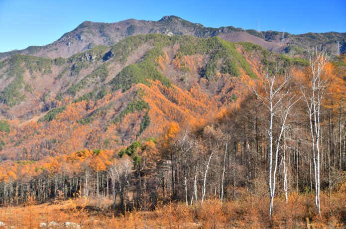 紅葉シーズンは低山・里山でも山岳遭難が増加します
